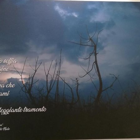 Verdepoesia Чоджия Екстериор снимка