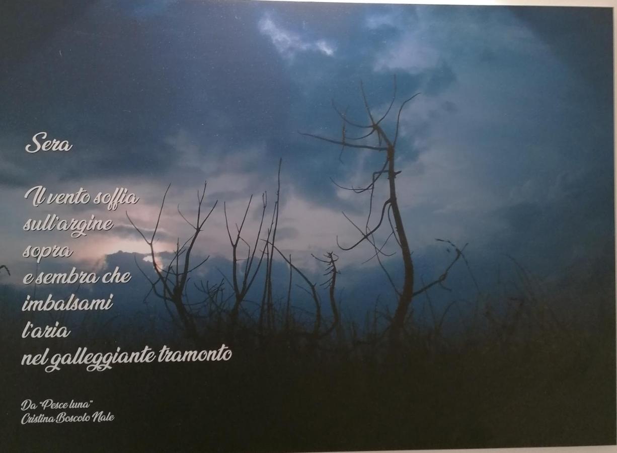 Verdepoesia Чоджия Екстериор снимка